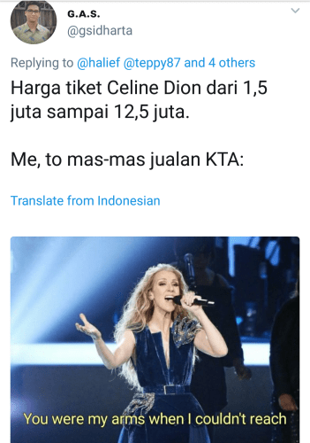 celinedionmeme (13)